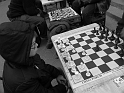 Kids-NYC_UnionSq_3-2014 (11)